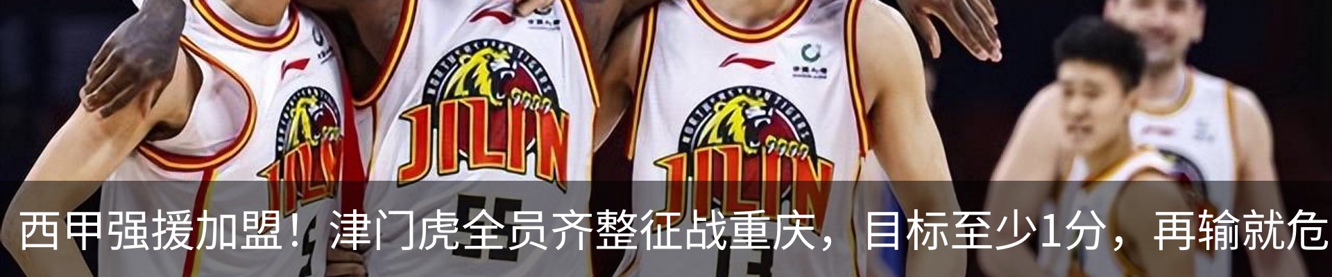 新闻动态